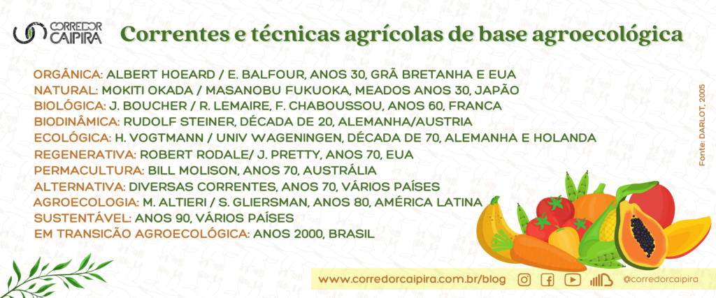 PDF) Agrocombustíveis: uma abordagem agroecológica. Vantagens e  desvantagens da utilização da agricultura para produção de Combustíveis do  ponto de vista da Biodiversidade e Ecossistêmica. Texto produzido na  disciplina Ecologia do Programa de