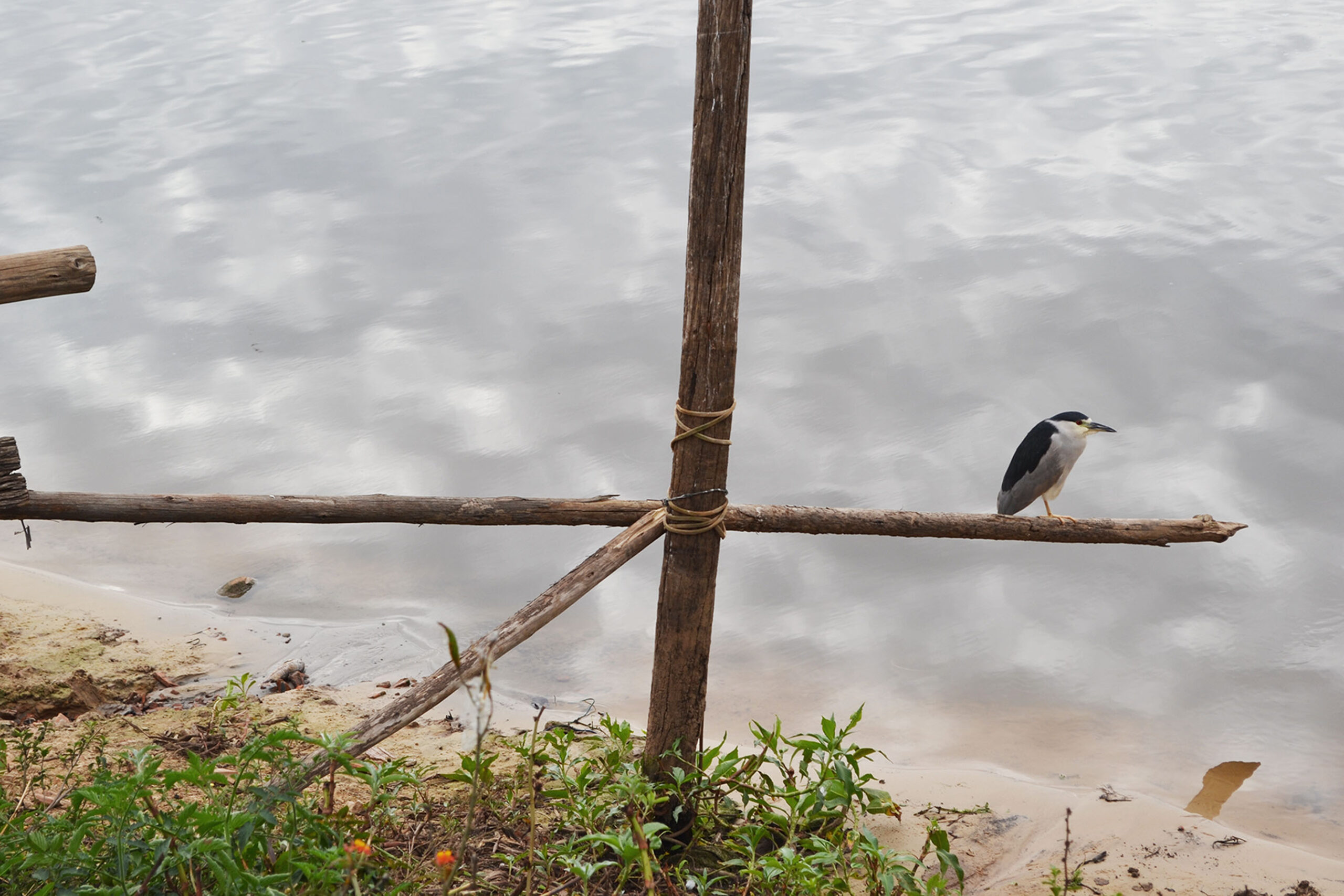 Reportagem: “Corredor Caipira” analisa mortandade de peixes no Rio Piracicaba