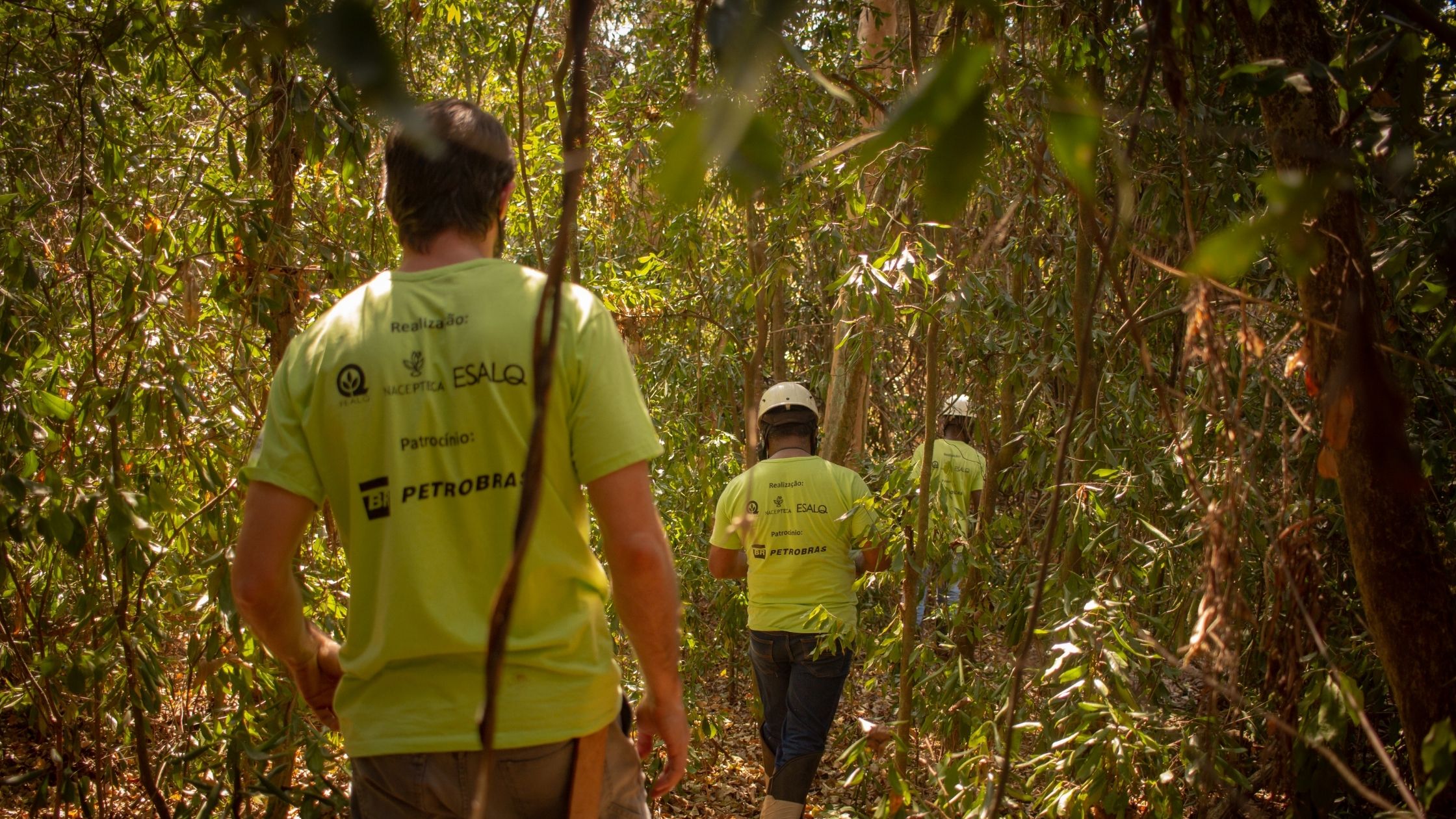 Reportagem: “É fundamental a população considerar questões socioambientais”, afirma projeto Corredor Caipira