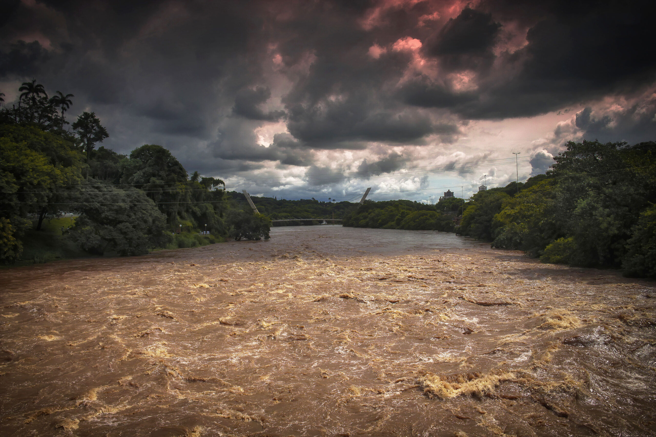 A importância do Corredor Caipira se engajar na luta por Política Municipal de Mudanças Climáticas