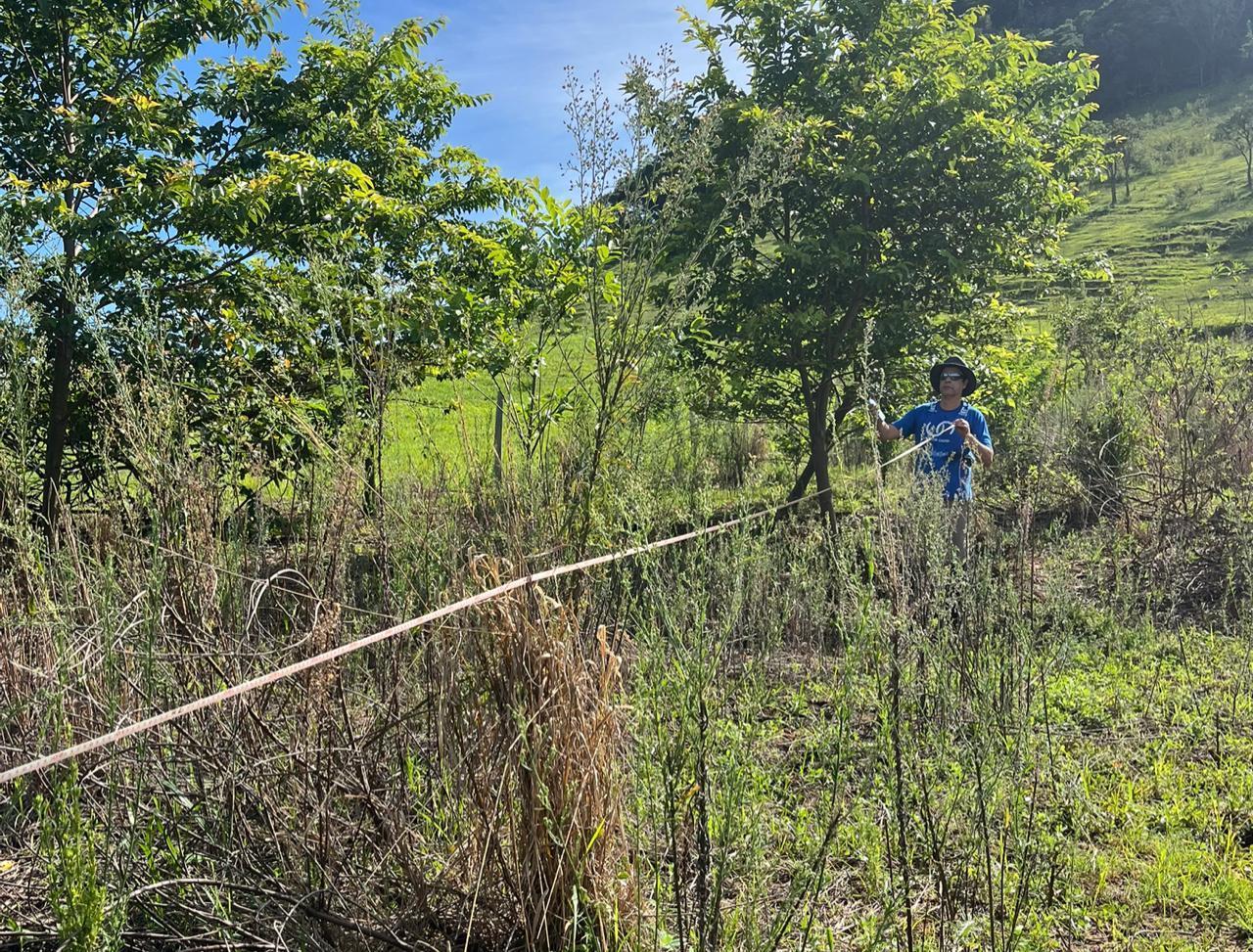 Áreas restauradas capturam carbono? O que dá (e o que não dá) para afirmar.