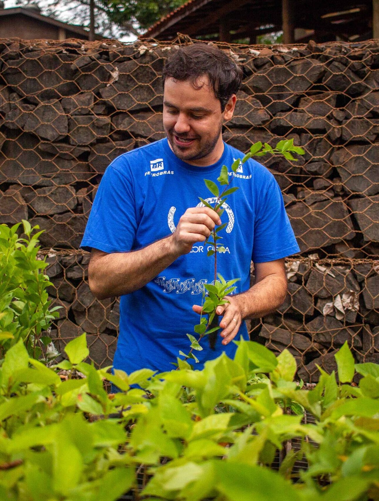 Reportagem: Temporais e mudanças climáticas: “Corredor Caipira” aponta a necessidade de plantar florestas