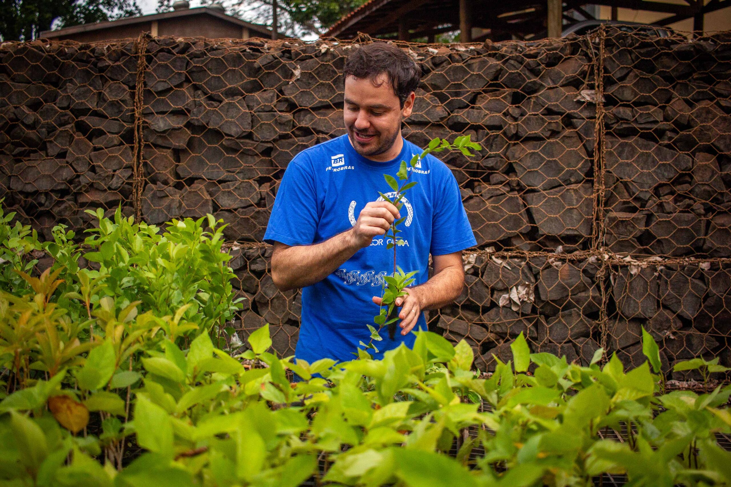 Reportagem: Temporais e mudanças climáticas: “Corredor Caipira” aponta a necessidade de plantar florestas
